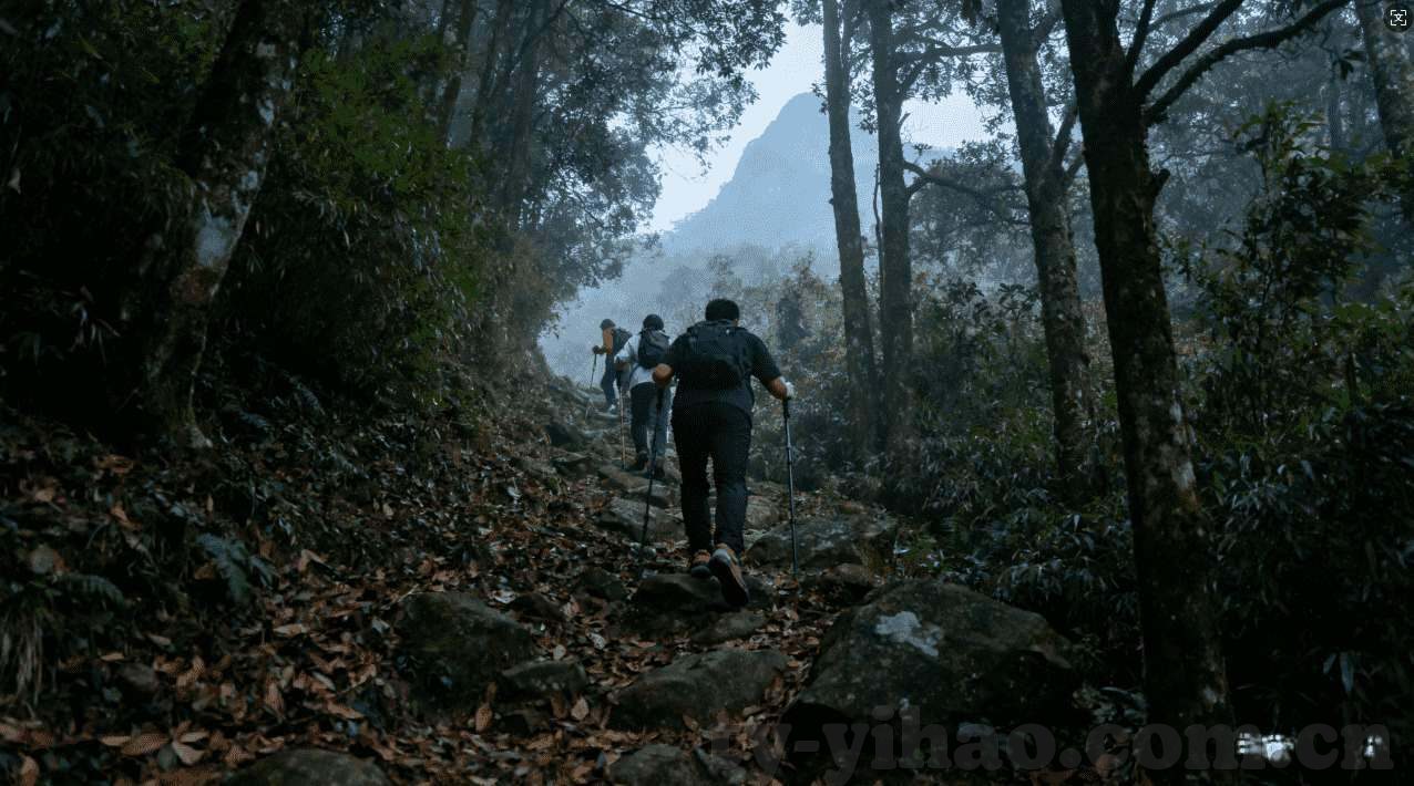 九游游戏中心app下载-九游游戏中心，海量资源，极致体验